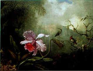 Martin Johnson Heade Cattleya Orchid Three Brazilian Hummingbirds Sweden oil painting art